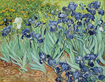 Irises by Vincent Van Gogh