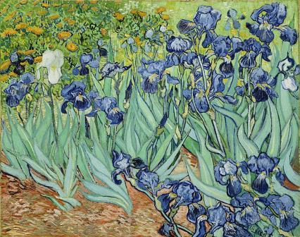 Irises by Vincent Van Gogh